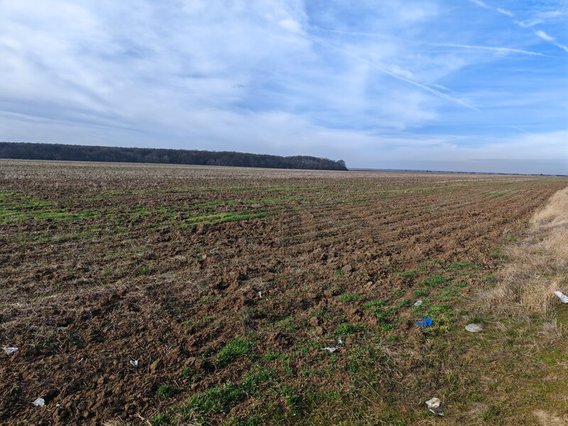 Corbii Mari, vanzare teren agricol,