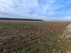 Corbii Mari, vanzare teren agricol